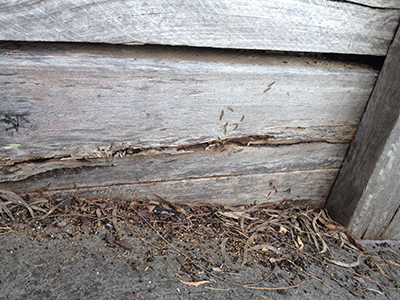 Thumbnail Image 1